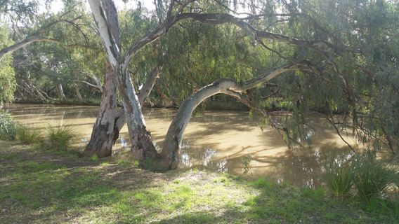 Bollon Heritage Centre