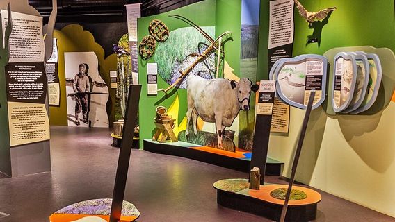 Yllästunturi Visitor Centre Kellokas