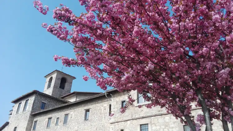 Hotels in Fratta Todina