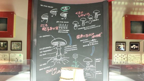 Ibaraki Mashroom Museum