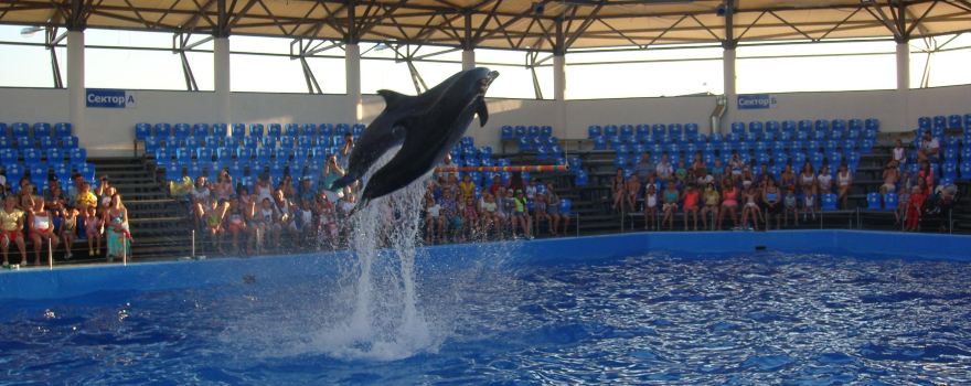 Dolphinarium "Nemo"