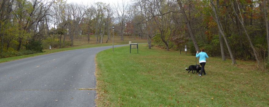 Montgomery Hall Park
