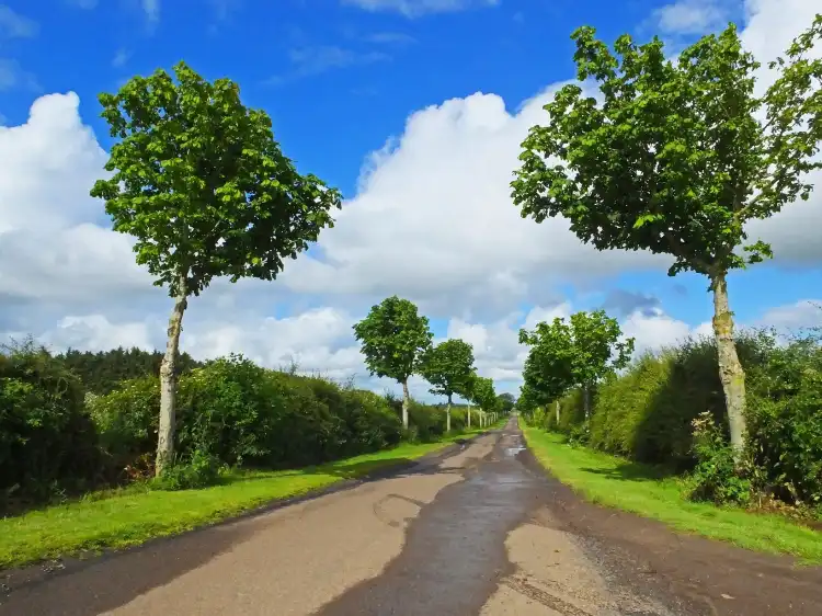 Hotels in Berwick-Upon-Tweed