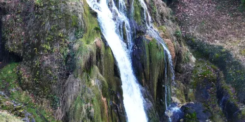 Abbaye Notre Dame de Vaux-sur-Poligny