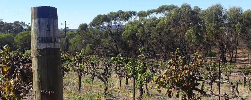 Avonbrook Wines