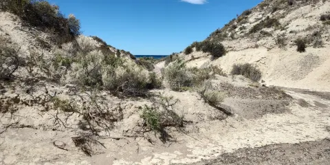 El Sotano y Canadon de las Ostras
