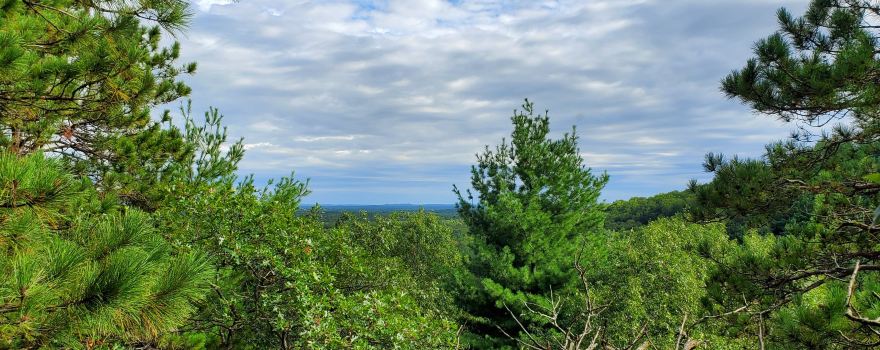 Levis Mound Trail Center