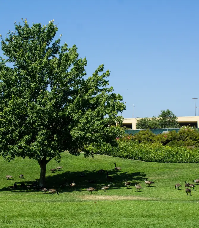 West Sacramento
