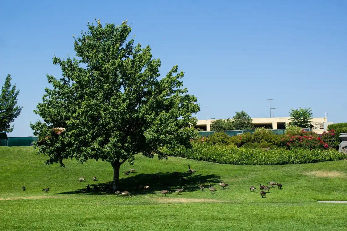 Hotels in der Nähe von River Walk Park