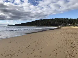 Lorne Beach