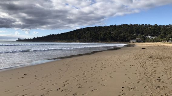 Lorne Beach