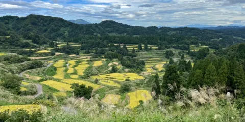 星峠梯田
