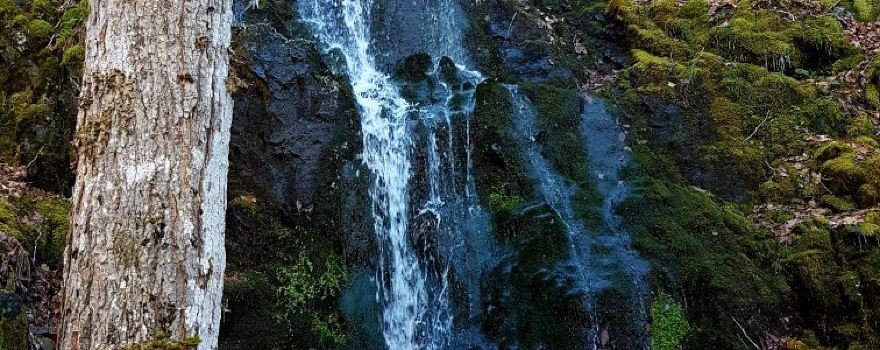 Rogart Mountain Trail