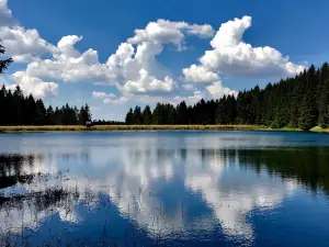 Liebesbankweg