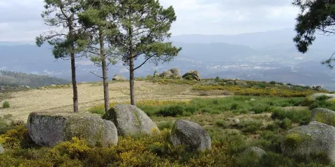 Serra do Ladário
