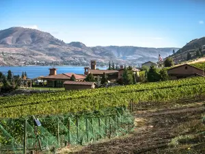 Tsillan Cellars