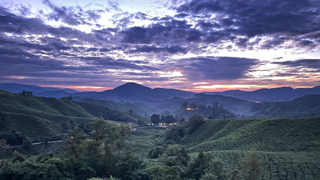 Discover Cameron Travel & Tour