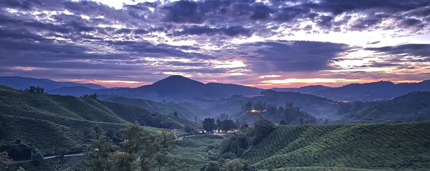 Discover Cameron Travel & Tour