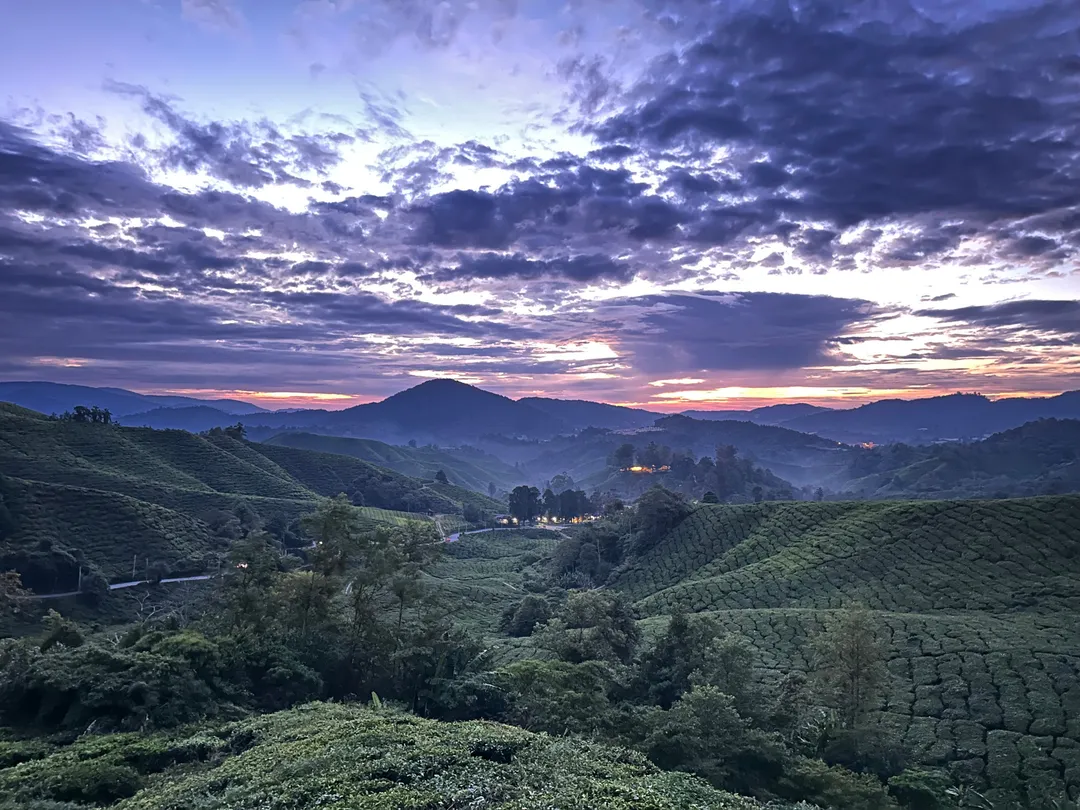 1_Discover Cameron Travel & Tour