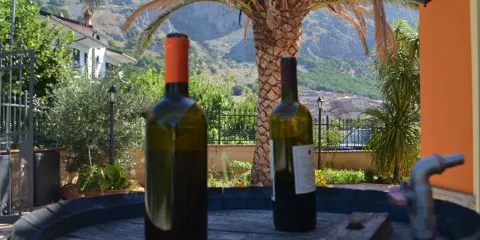 Az. Vitivinicola Casalnuovo Del Duca