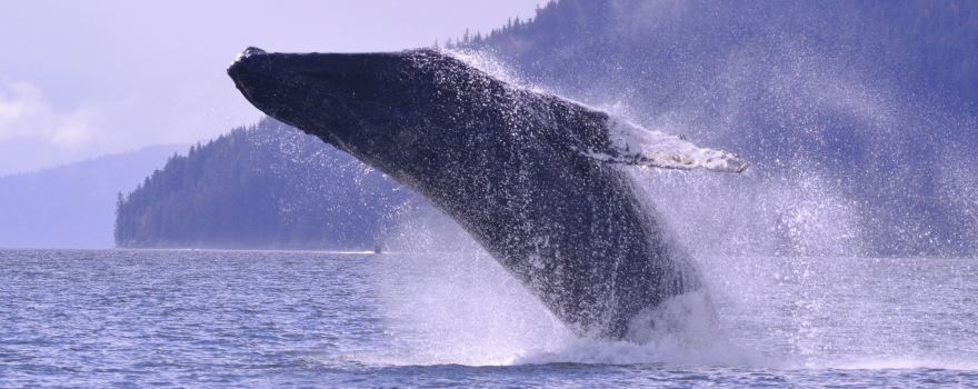 Alaska Passages