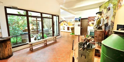 Musée La Maison des Abeilles