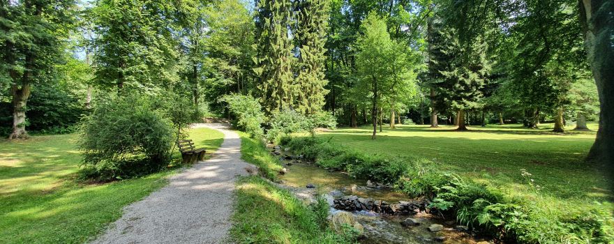 Steinway-Park-Seesen e.V.