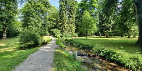 Steinway-Park Seesen
