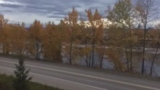 McMillan Creek Fishing Park