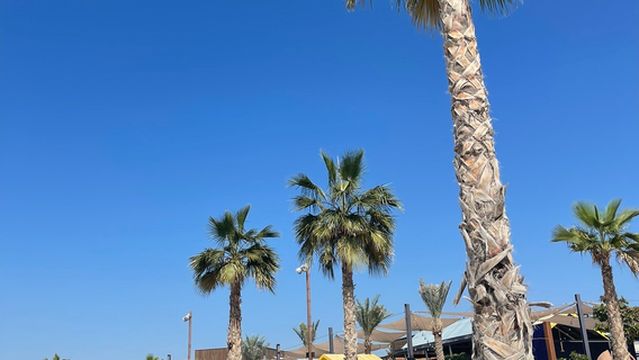 Al Hudayriat Island Beach