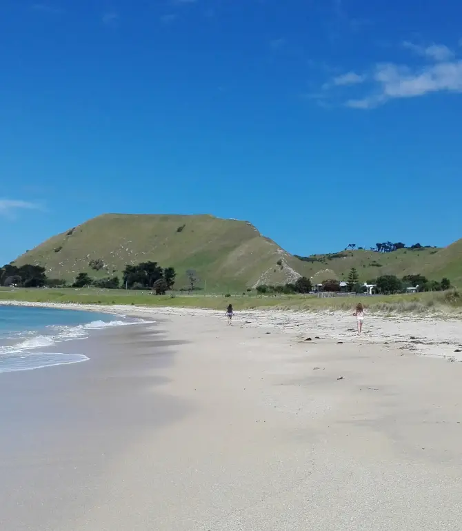 Mahia
