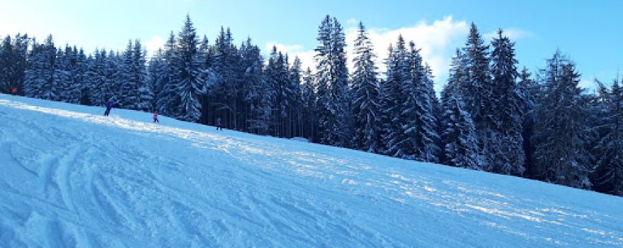 Lyžařský areál Hartmanice