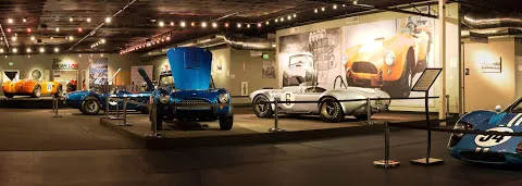 The Cobra Experience