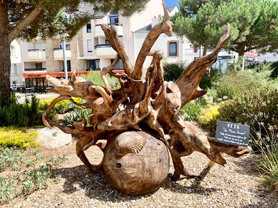 Plage Quiberon