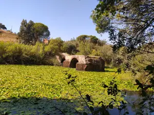 Ponte D. Maria