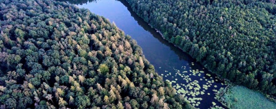 am Neuweiher Landscape Protection Area