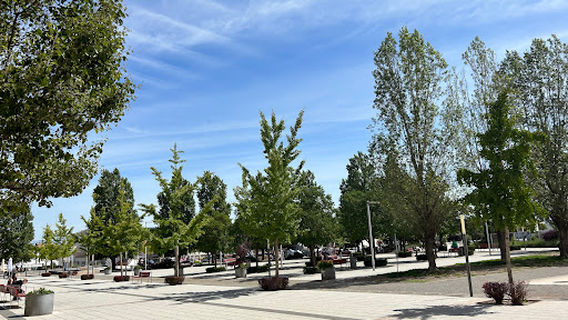 Constitución Park
