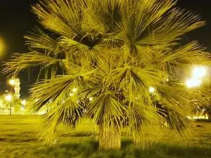 Al-Aziziyah Park