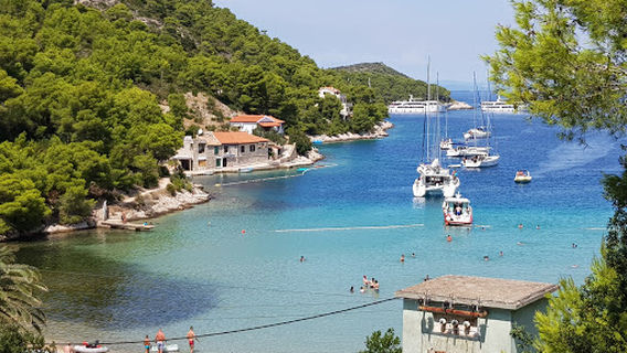 Vis