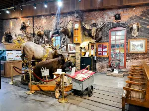 D&SNG Museum