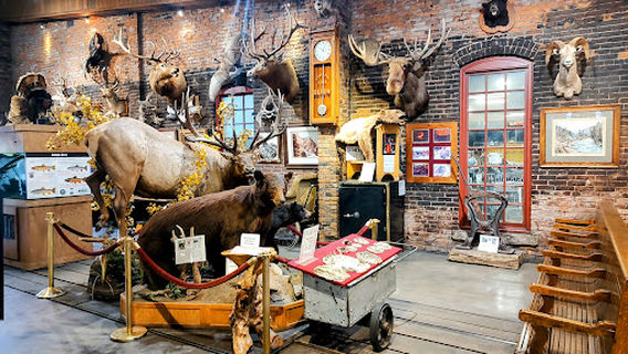 D&SNG Museum