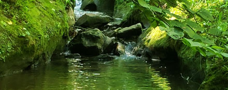 Boch Hollow State Nature Preserve, West Trailhead