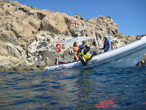 Archeo diving
