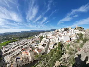 Olvera