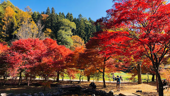 Okaya