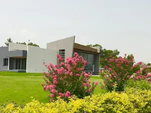 Colony Park