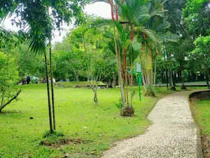 Taman Hutan Kota Mayang