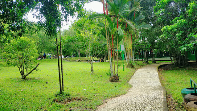 Taman Hutan Kota Mayang