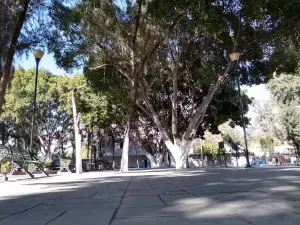 Parque Emiliano Zapata