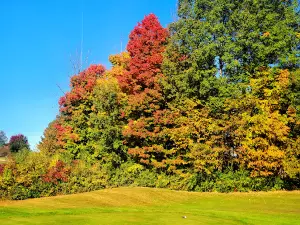 The Inn at Manistee National Golf & Resort